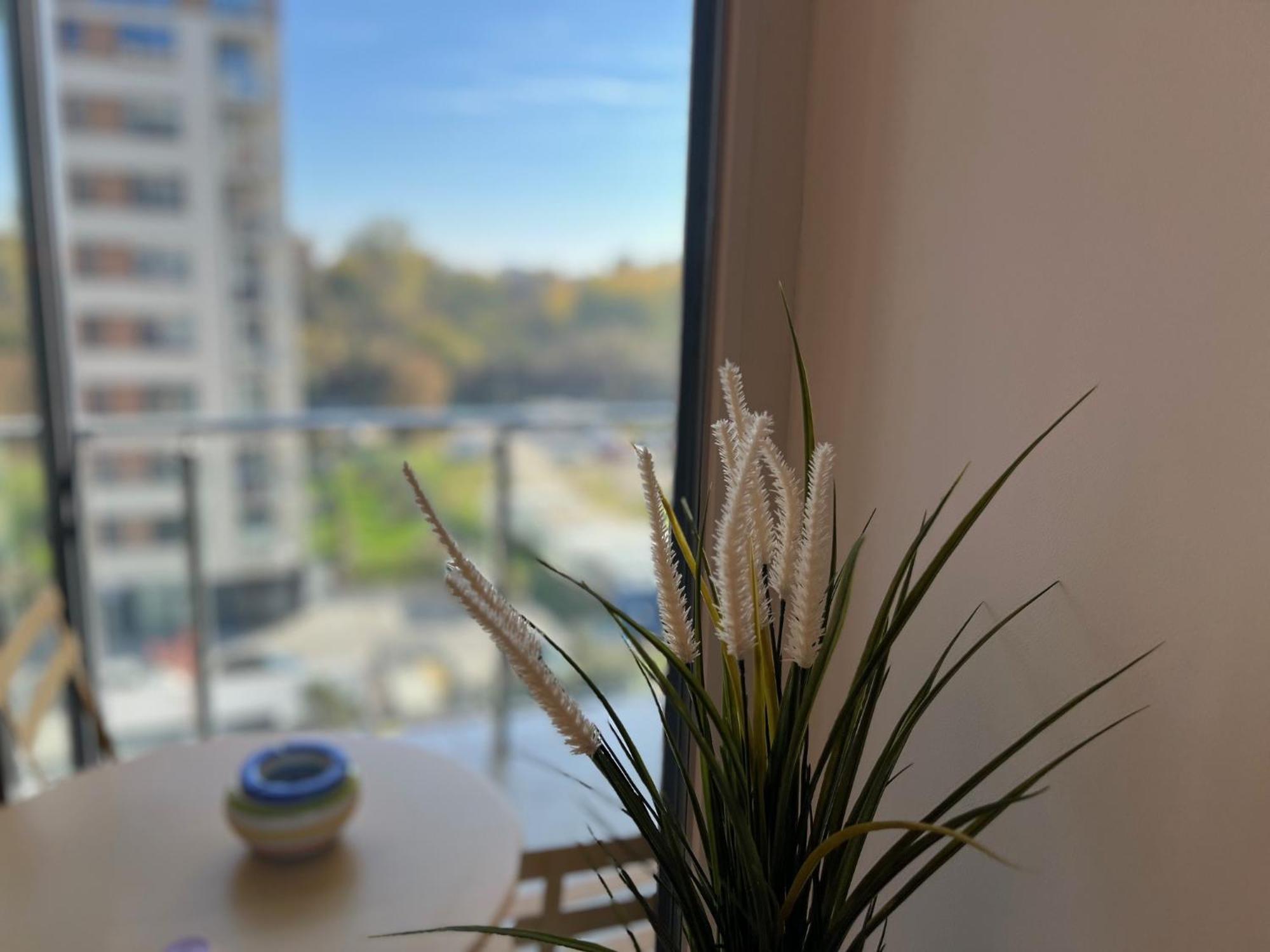 One Apartments Nordone Iulius Town Timișoara Zewnętrze zdjęcie